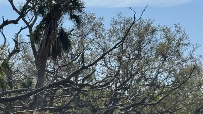 MacDill 48 Park - Tampa, FL