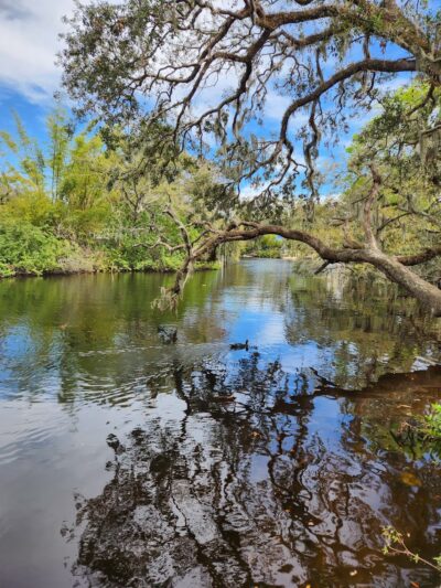 Patterson St Park - Tampa, FL