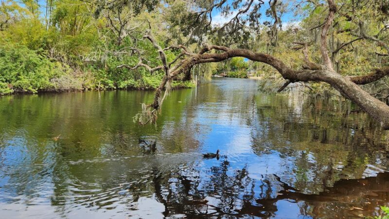 Patterson St Park - Tampa, FL