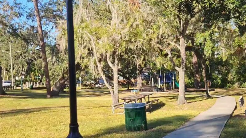 Patterson St Park - Tampa, FL