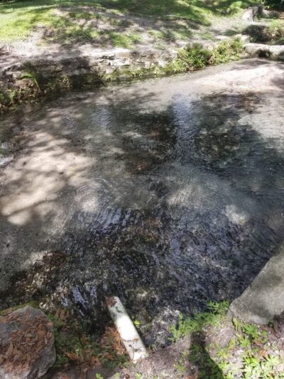 Patterson St Park - Tampa, FL