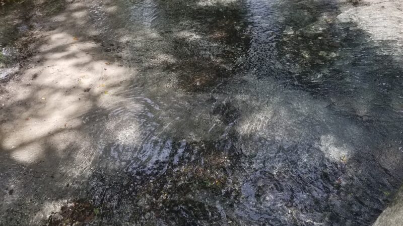 Patterson St Park - Tampa, FL