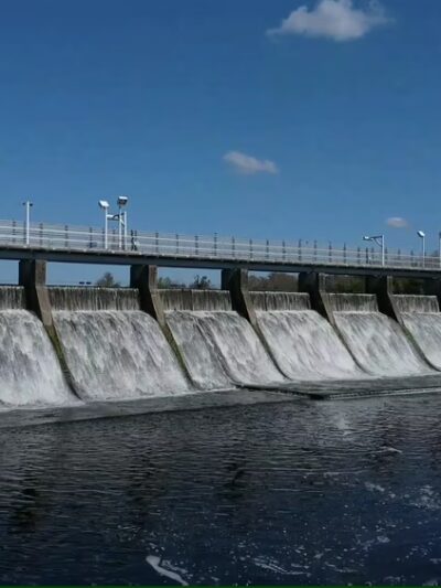 Rowlett Park - Tampa, FL