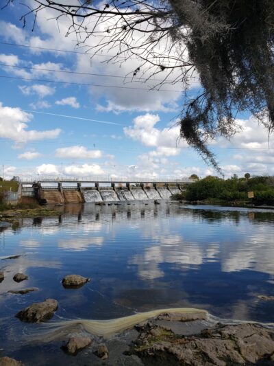 Rowlett Park - Tampa, FL