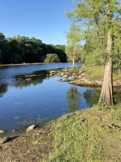 Rowlett Park - Tampa, FL