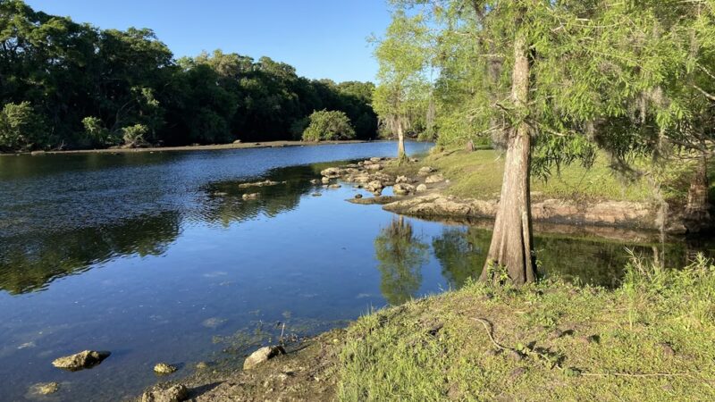 Rowlett Park - Tampa, FL