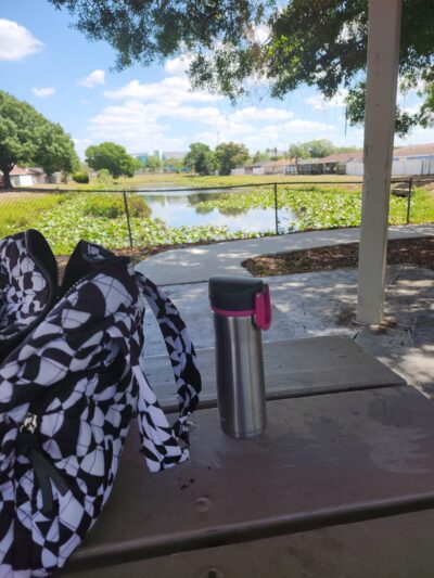 Roy Henley Park - Tampa, FL