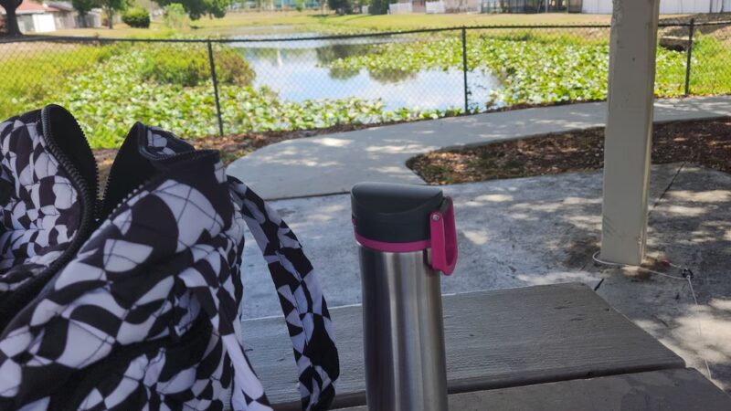 Roy Henley Park - Tampa, FL