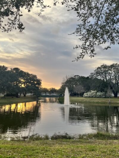Simmons Park - Tampa, FL