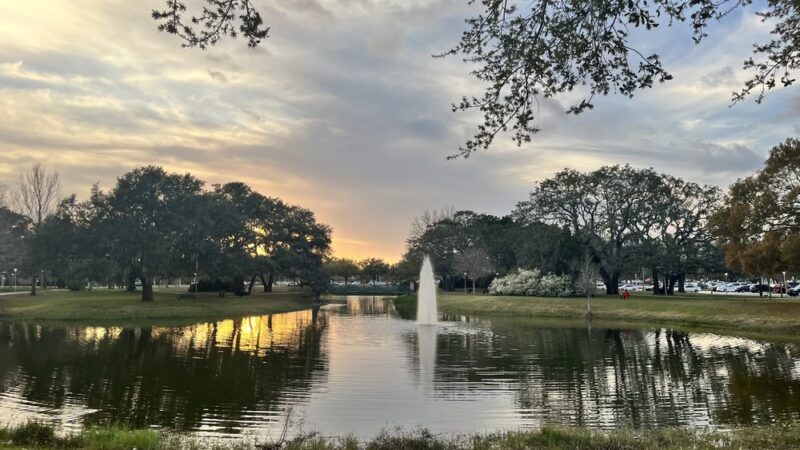 Simmons Park - Tampa, FL
