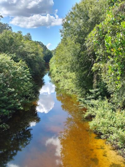 Town N Country Greenway - Tampa, FL
