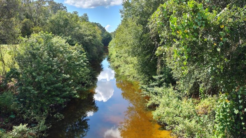 Town N Country Greenway - Tampa, FL