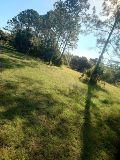 Town N Country Greenway - Tampa, FL