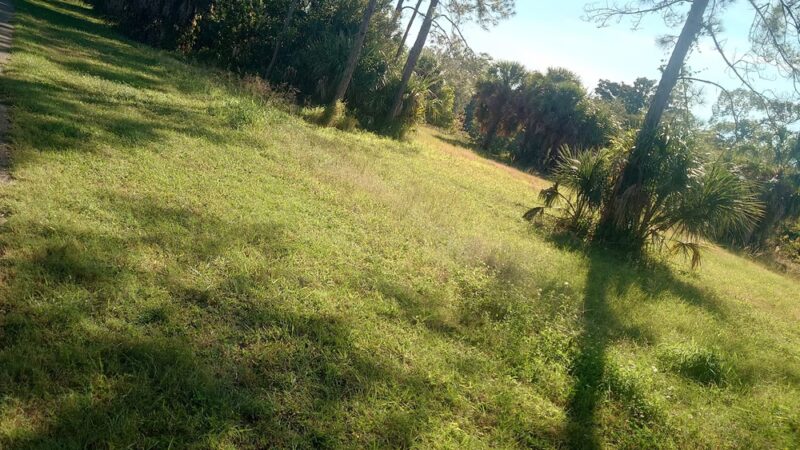 Town N Country Greenway - Tampa, FL
