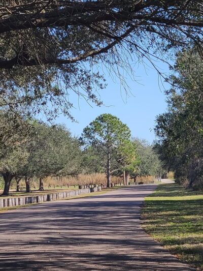 Town N Country Greenway - Tampa, FL