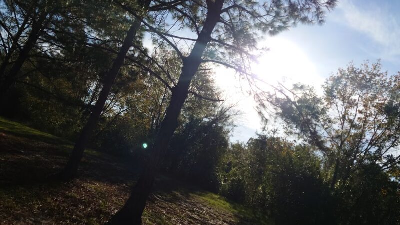 Town N Country Greenway - Tampa, FL