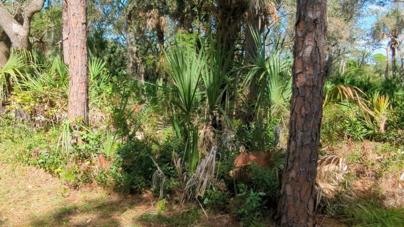 Upper Tampa Bay Park - Tampa, FL