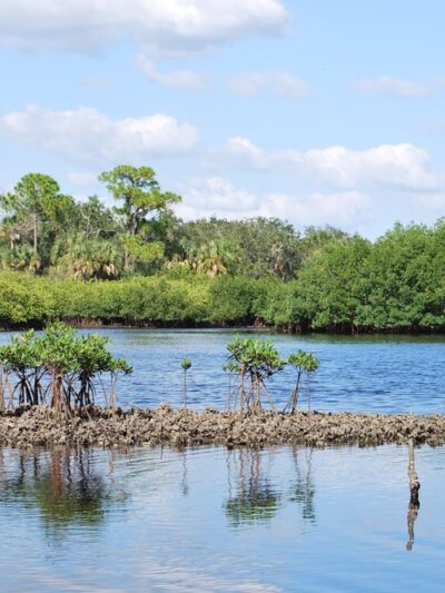 Upper Tampa Bay Park - Tampa, FL