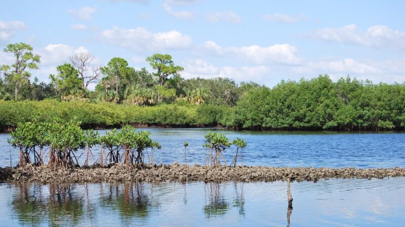 Upper Tampa Bay Park - Tampa, FL