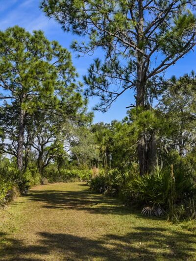 Upper Tampa Bay Park - Tampa, FL