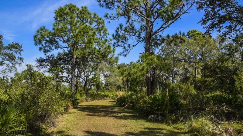 Upper Tampa Bay Park - Tampa, FL