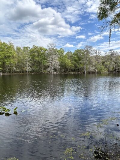 USF Riverfront Park - Tampa, FL