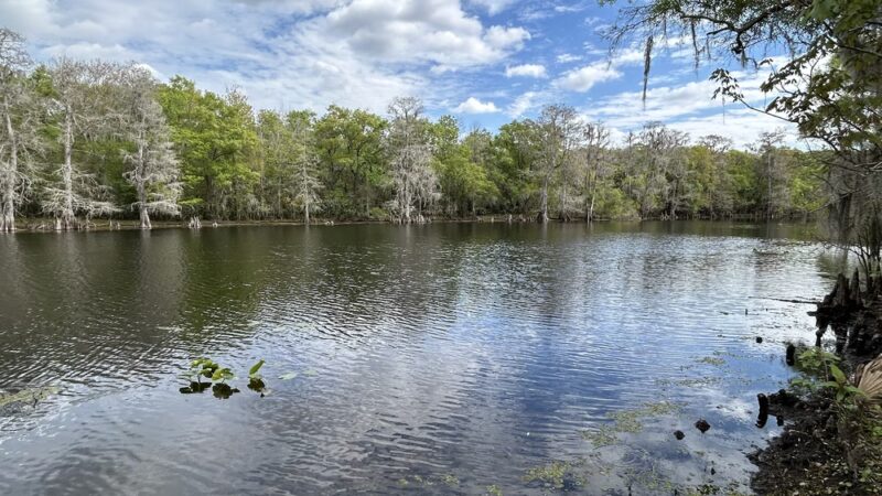 USF Riverfront Park - Tampa, FL