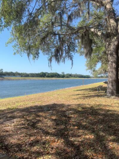 Veterans Memorial Park - Tampa, FL