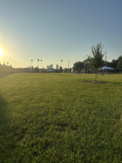 Vila Brothers Park - Tampa, FL