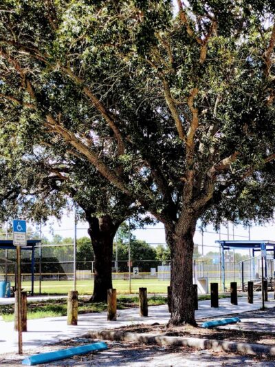 West Park Sports Complex - Tampa, FL