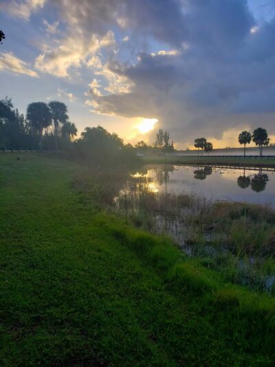 West Park Sports Complex - Tampa, FL