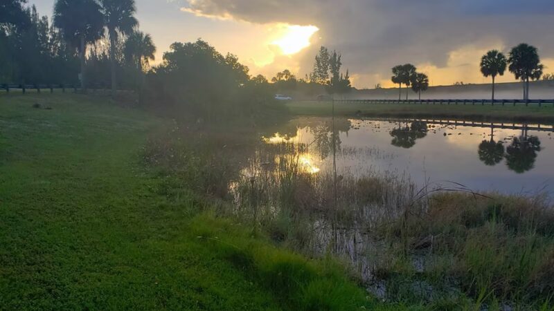 West Park Sports Complex - Tampa, FL