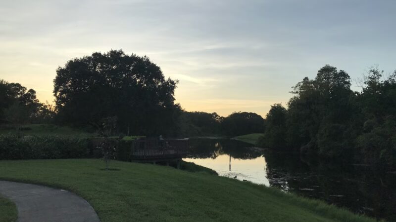West Village Park - Tampa, FL