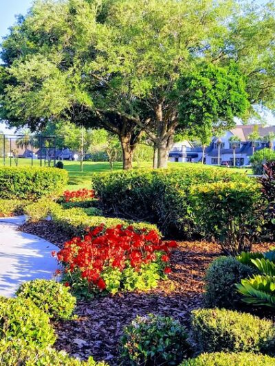 West Village Park - Tampa, FL