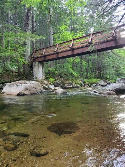 Hemenway State Forest - Tamworth, NH