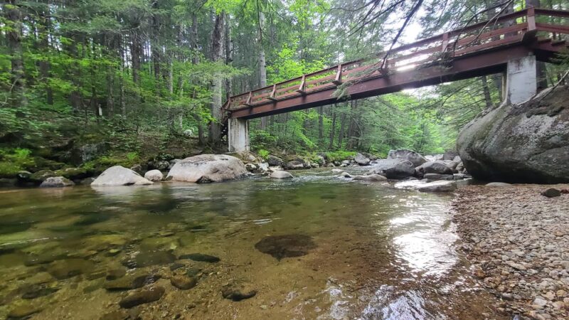 Hemenway State Forest - Tamworth, NH