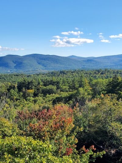 Hemenway State Forest - Tamworth, NH
