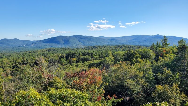Hemenway State Forest - Tamworth, NH