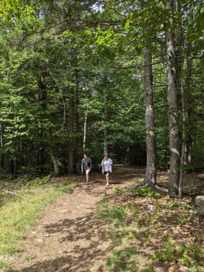 Hemenway State Forest - Tamworth, NH
