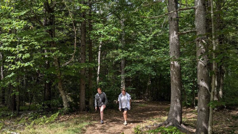 Hemenway State Forest - Tamworth, NH