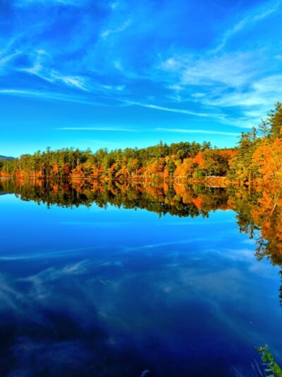 The Grove (Chocorua Lake Conservancy) - Tamworth, NH