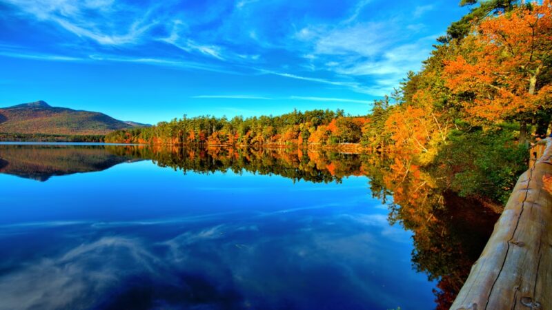 The Grove (Chocorua Lake Conservancy) - Tamworth, NH