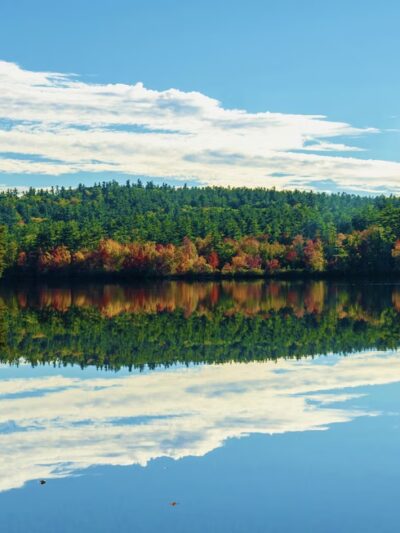 The Grove (Chocorua Lake Conservancy) - Tamworth, NH