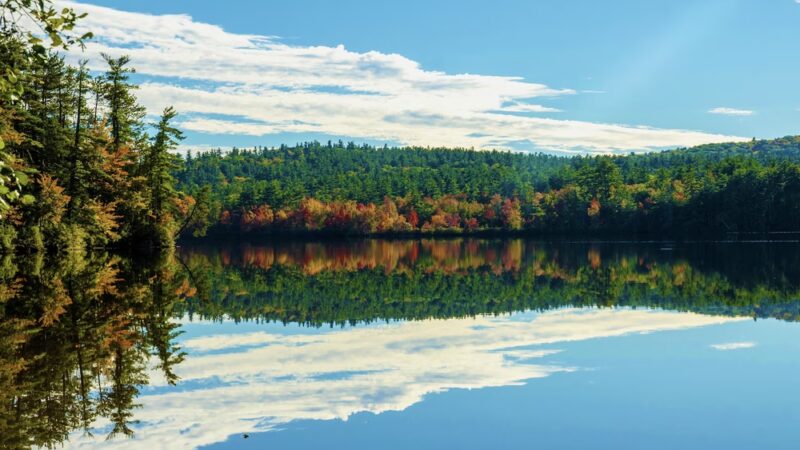 The Grove (Chocorua Lake Conservancy) - Tamworth, NH