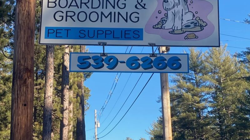 Two Paws Up, LLC - Tamworth, NH