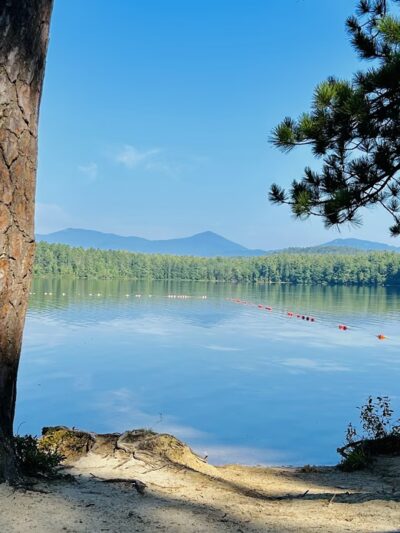 White Lake State Park - Tamworth, NH