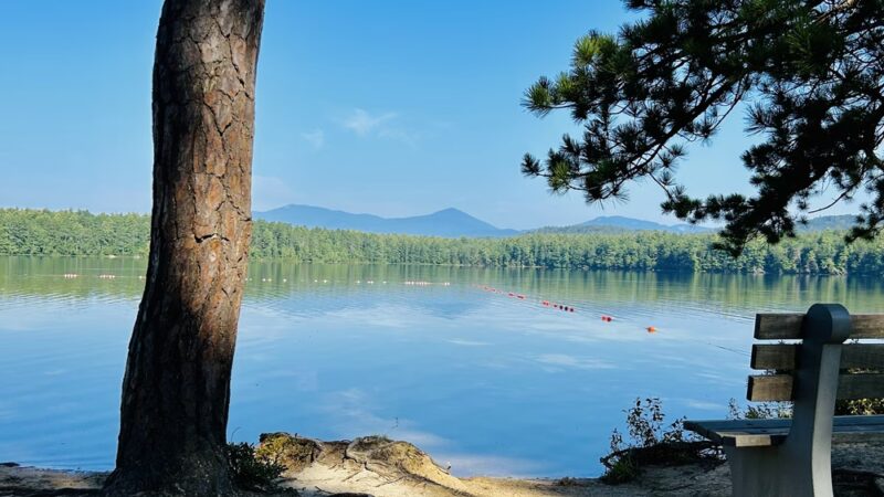 White Lake State Park - Tamworth, NH