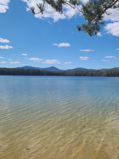 White Lake State Park - Tamworth, NH