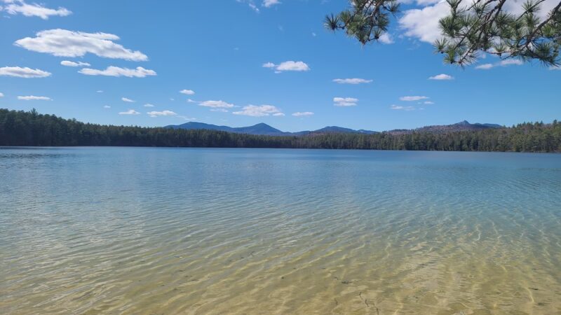 White Lake State Park - Tamworth, NH