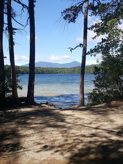White Lake State Park - Tamworth, NH